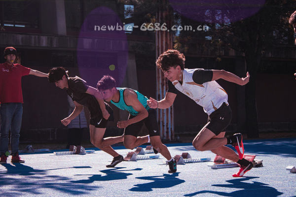 ICP备案号鄂ICP备40758253号-5与行业认证徽章组合